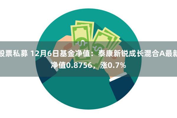 股票私募 12月6日基金净值：泰康新锐成长混合A最新净值0.8756，涨0.7%