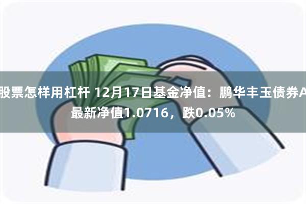 股票怎样用杠杆 12月17日基金净值：鹏华丰玉债券A最新净值1.0716，跌0.05%