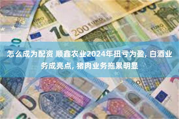 怎么成为配资 顺鑫农业2024年扭亏为盈, 白酒业务成亮点, 猪肉业务拖累明显