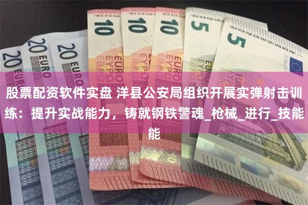 股票配资软件实盘 洋县公安局组织开展实弹射击训练：提升实战能力，铸就钢铁警魂_枪械_进行_技能