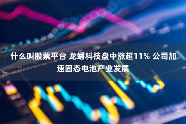 什么叫股票平台 龙蟠科技盘中涨超11% 公司加速固态电池产业发展