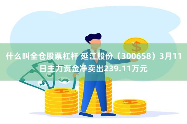 什么叫全仓股票杠杆 延江股份（300658）3月11日主力资金净卖出239.11万元