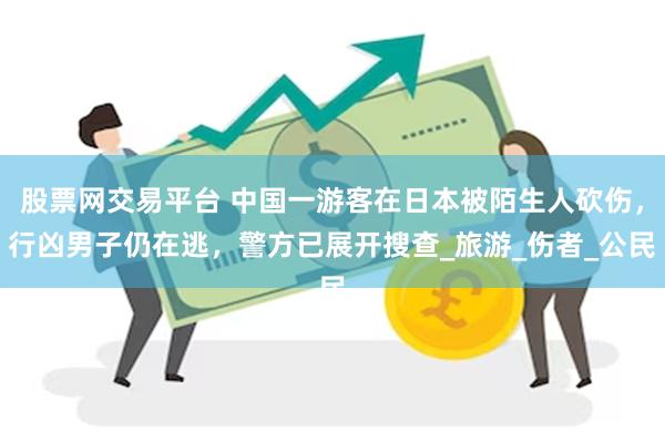 股票网交易平台 中国一游客在日本被陌生人砍伤，行凶男子仍在逃，警方已展开搜查_旅游_伤者_公民
