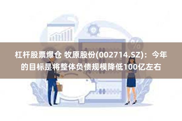 杠杆股票爆仓 牧原股份(002714.SZ)：今年的目标是将整体负债规模降低100亿左右