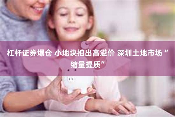 杠杆证券爆仓 小地块拍出高溢价 深圳土地市场“缩量提质”