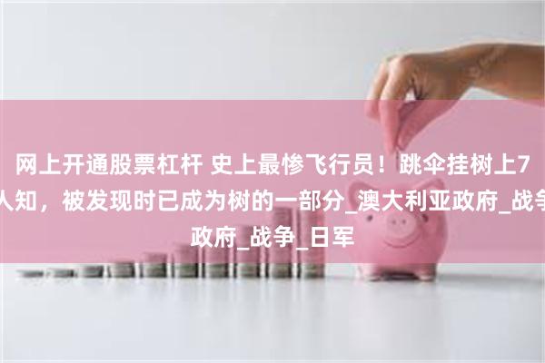 网上开通股票杠杆 史上最惨飞行员！跳伞挂树上70年无人知，被发现时已成为树的一部分_澳大利亚政府_战争_日军