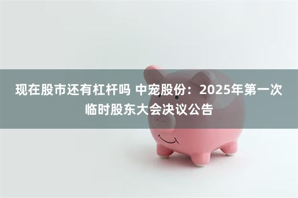 现在股市还有杠杆吗 中宠股份：2025年第一次临时股东大会决议公告