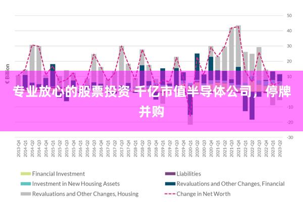 专业放心的股票投资 千亿市值半导体公司，停牌并购
